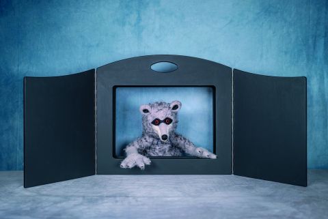 Waschbär Willi Wippermann-Foto Rüdiger vom Bocke